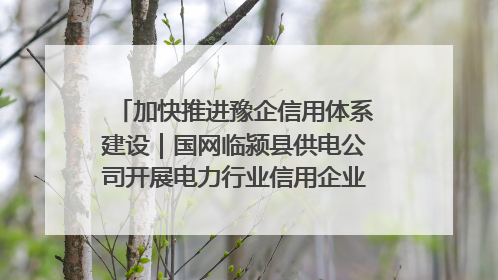 加快推进豫企信用体系建设｜国网临颍县供电公司开展电力行业信用企业现场咨询访谈工作