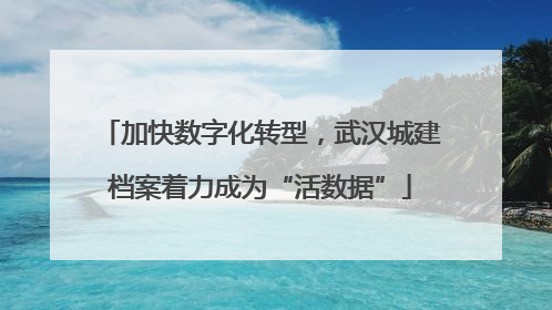 加快数字化转型，武汉城建档案着力成为“活数据”