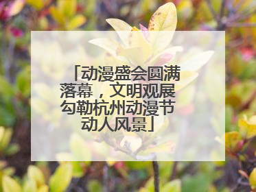 动漫盛会圆满落幕，文明观展勾勒杭州动漫节动人风景