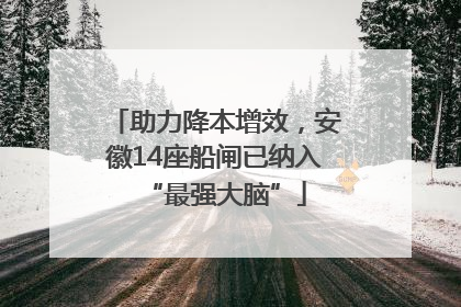 助力降本增效，安徽14座船闸已纳入“最强大脑”