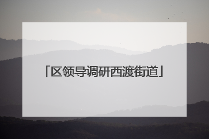 区领导调研西渡街道