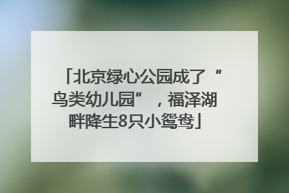 北京绿心公园成了“鸟类幼儿园”，福泽湖畔降生8只小鸳鸯