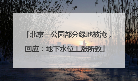 北京一公园部分绿地被淹，回应：地下水位上涨所致