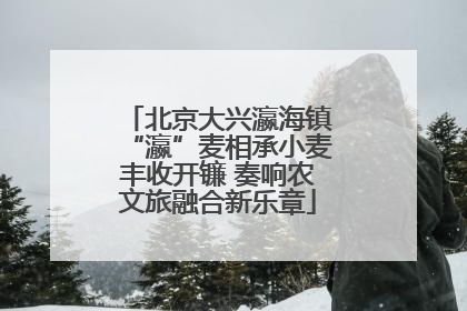 北京大兴瀛海镇“瀛”麦相承小麦丰收开镰 奏响农文旅融合新乐章
