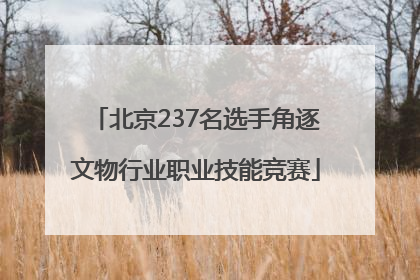 北京237名选手角逐文物行业职业技能竞赛