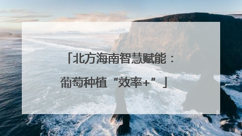 北方海南智慧赋能：葡萄种植“效率+”