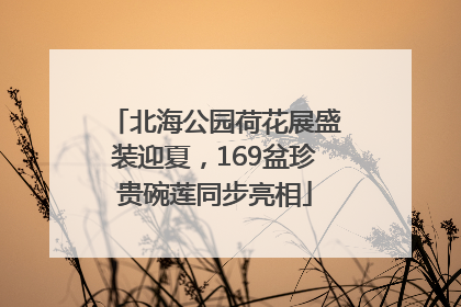 北海公园荷花展盛装迎夏，169盆珍贵碗莲同步亮相