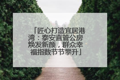 匠心打造宜居港湾：泰安直管公房焕发新颜，群众幸福指数节节攀升