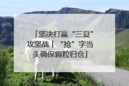 坚决打赢“三夏”攻坚战丨“抢”字当头确保颗粒归仓