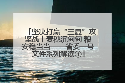 坚决打赢“三夏”攻坚战丨麦穗沉甸甸 粮安稳当当——省委一号文件系列解读①