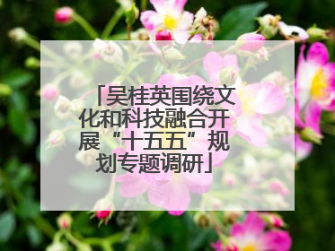吴桂英围绕文化和科技融合开展“十五五”规划专题调研