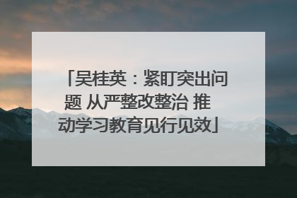 吴桂英：紧盯突出问题 从严整改整治 推动学习教育见行见效