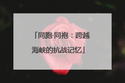 同胞·同袍：跨越海峡的抗战记忆