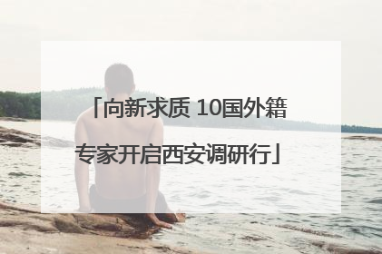 向新求质 10国外籍专家开启西安调研行