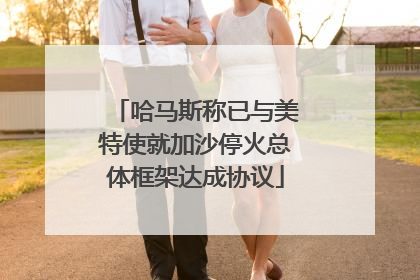 哈马斯称已与美特使就加沙停火总体框架达成协议