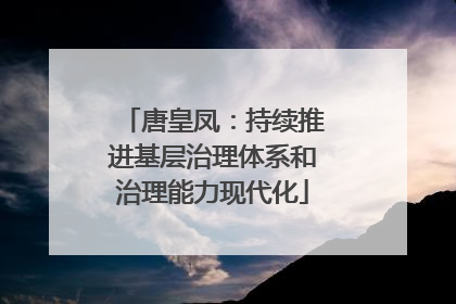唐皇凤：持续推进基层治理体系和治理能力现代化