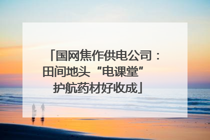 国网焦作供电公司：田间地头“电课堂” 护航药材好收成