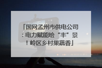 国网孟州市供电公司：电力赋能绘“丰”景！岭区乡村果蔬香