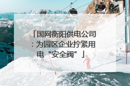 国网衡阳供电公司：为园区企业拧紧用电“安全阀”