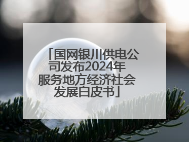 国网银川供电公司发布2024年服务地方经济社会发展白皮书