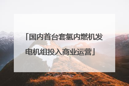 国内首台套氢内燃机发电机组投入商业运营