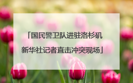 国民警卫队进驻洛杉矶 新华社记者直击冲突现场