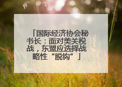 国际经济协会秘书长：面对美关税战，东盟应选择战略性“脱钩”