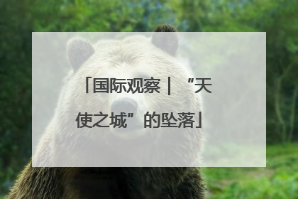 国际观察｜“天使之城”的坠落