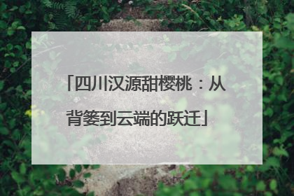 四川汉源甜樱桃：从背篓到云端的跃迁