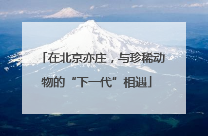 在北京亦庄，与珍稀动物的“下一代”相遇
