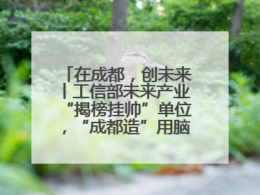 在成都，创未来丨工信部未来产业“揭榜挂帅”单位，“成都造”用脑机接口技术造福孤独症儿童