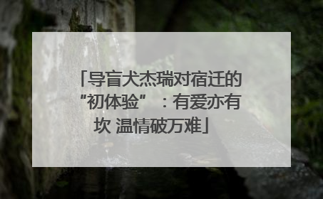 导盲犬杰瑞对宿迁的“初体验”：有爱亦有坎 温情破万难