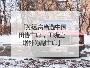 孙远富当选中国田协主席，王晓莹增补为副主席