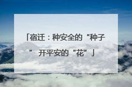 宿迁：种安全的“种子” 开平安的“花”