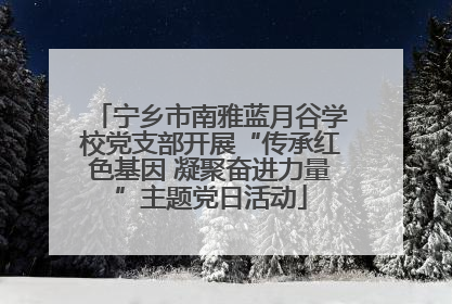 宁乡市南雅蓝月谷学校党支部开展“传承红色基因 凝聚奋进力量”主题党日活动