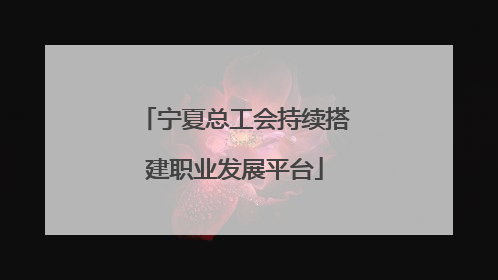 宁夏总工会持续搭建职业发展平台