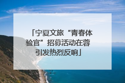 宁夏文旅“青春体验官”招募活动在蓉引发热烈反响