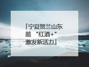 宁夏贺兰山东麓 “红酒+”激发新活力
