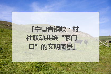 宁夏青铜峡：村社联动共绘“家门口”的文明图景