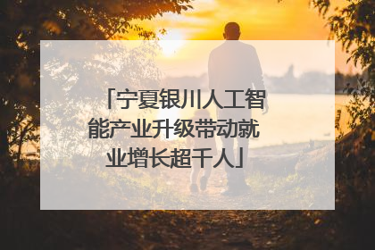 宁夏银川人工智能产业升级带动就业增长超千人