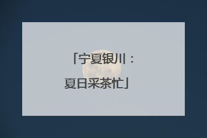 宁夏银川：夏日采茶忙