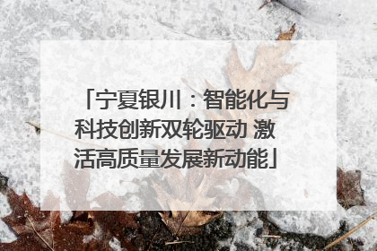 宁夏银川：智能化与科技创新双轮驱动 激活高质量发展新动能
