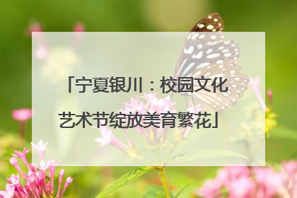 宁夏银川：校园文化艺术节绽放美育繁花