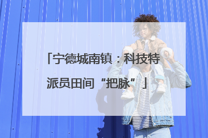 宁德城南镇：科技特派员田间“把脉”
