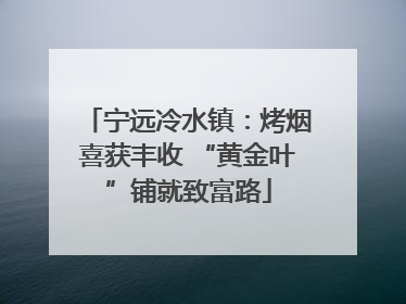 宁远冷水镇：烤烟喜获丰收 “黄金叶”铺就致富路