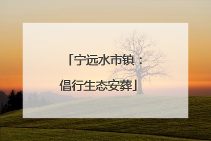 宁远水市镇：倡行生态安葬