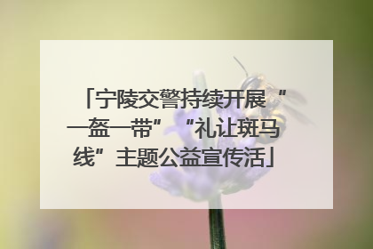 宁陵交警持续开展“一盔一带”“礼让斑马线”主题公益宣传活
