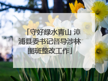 守好绿水青山 漳浦县委书记督导涉林图斑整改工作