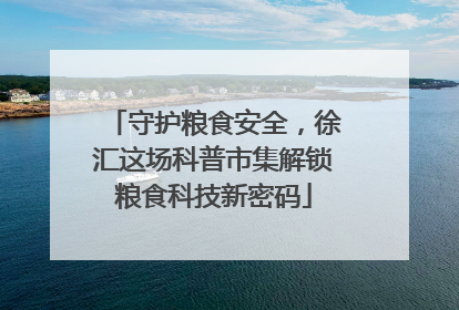 守护粮食安全，徐汇这场科普市集解锁粮食科技新密码