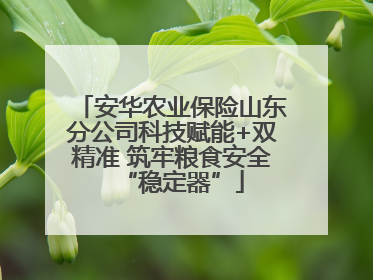 安华农业保险山东分公司科技赋能+双精准 筑牢粮食安全“稳定器”